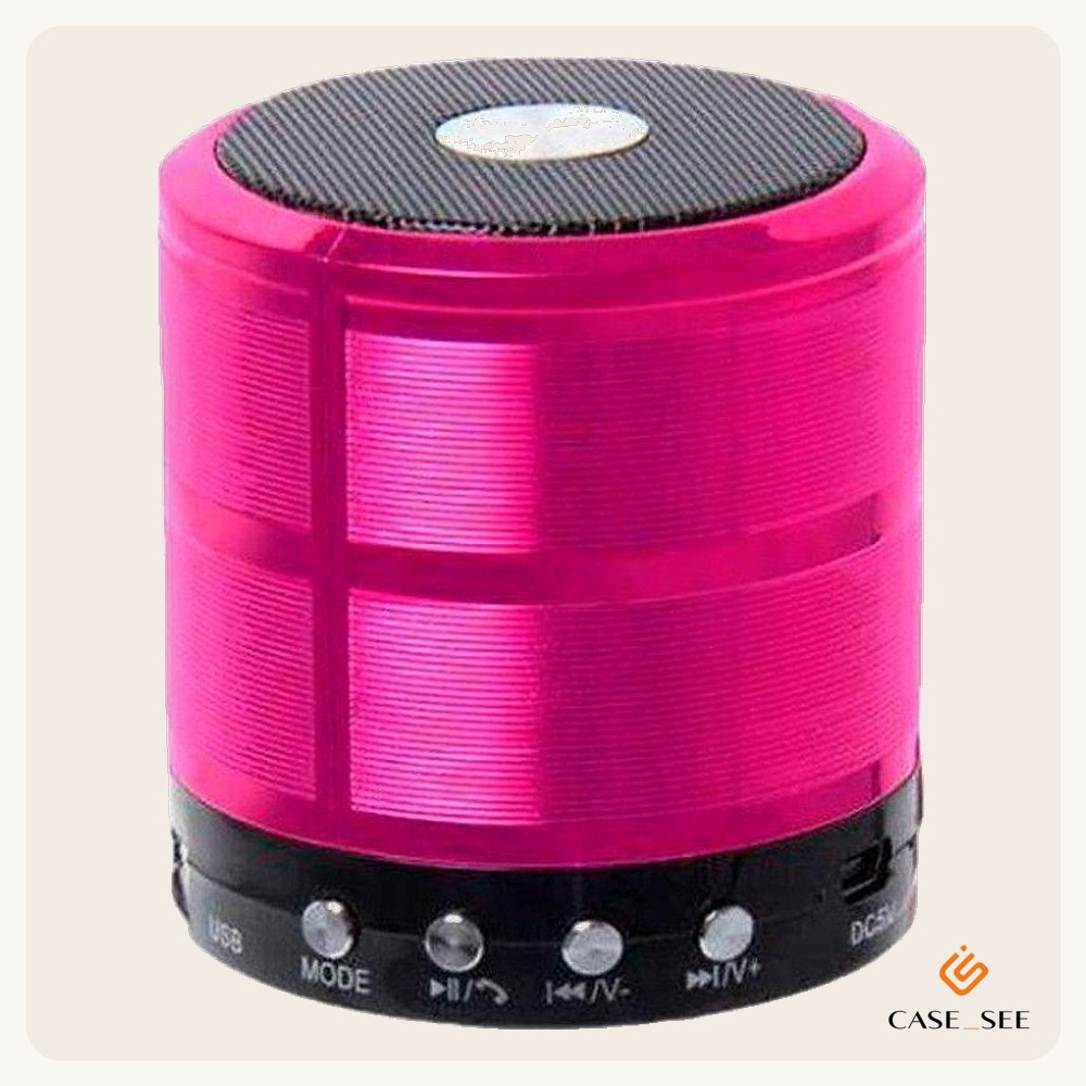 CAIXA DE SOM WS-590